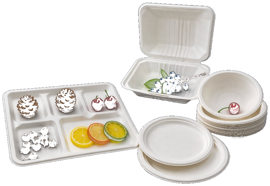 Eco-friendly plates product visual